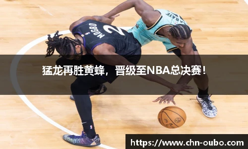 猛龙再胜黄蜂，晋级至NBA总决赛！