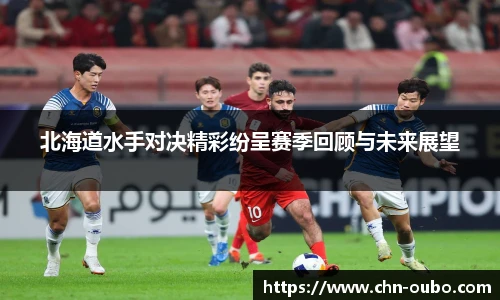 北海道水手对决精彩纷呈赛季回顾与未来展望